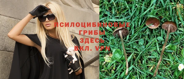 герыч Тавда
