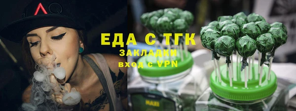 индика Сясьстрой