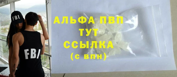 индика Сясьстрой