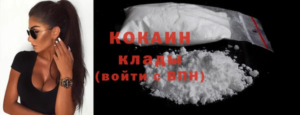 индика Сясьстрой