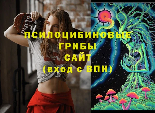 индика Сясьстрой