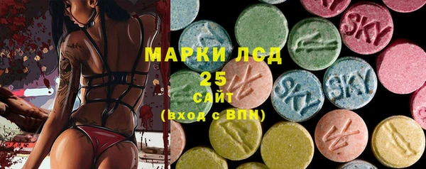 индика Сясьстрой