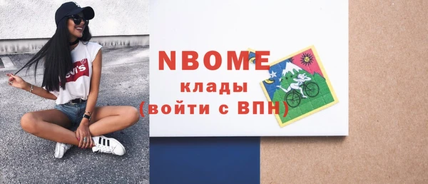 индика Сясьстрой